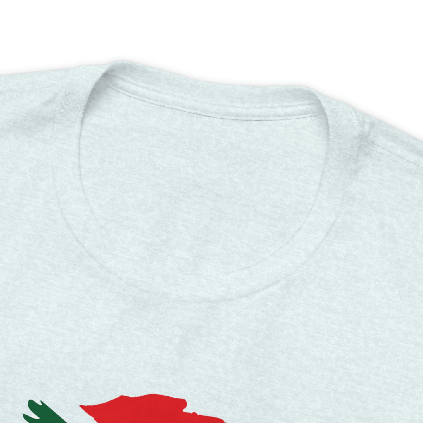 SA Flag Unisex Jersey Short Sleeve Tee